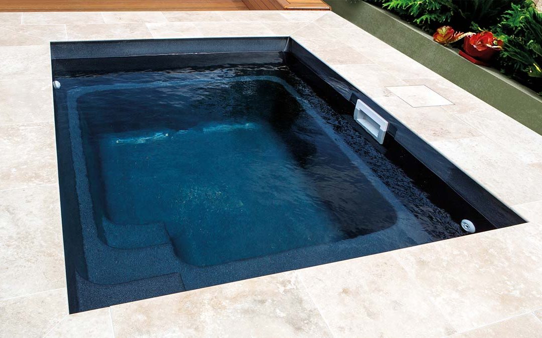 Plunge Pool Hot Tub Combo